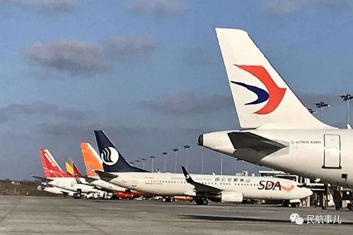 搶運物資外運產(chǎn)品 煙臺機場航空物流逆風上揚