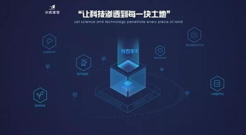 興農(nóng)豐華與國家玉米改良中心達(dá)成戰(zhàn)略合作 信息技術(shù)驅(qū)動(dòng)玉米工程化育種創(chuàng)新