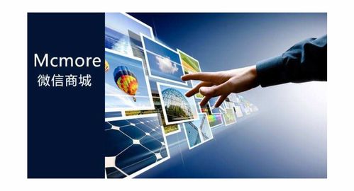 數(shù)碼電腦企業(yè)商情與信息技術發(fā)展趨勢分析